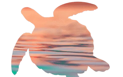 Climate Consciousness Summit