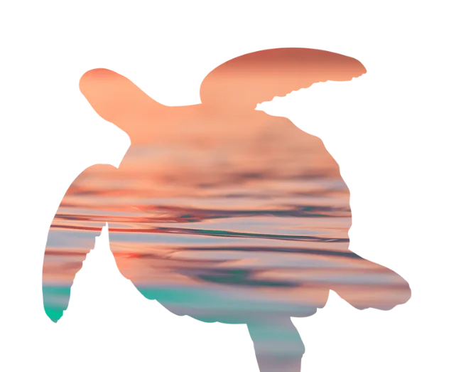 Climate Consciousness Summit